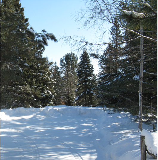 Nourrir notre âme…